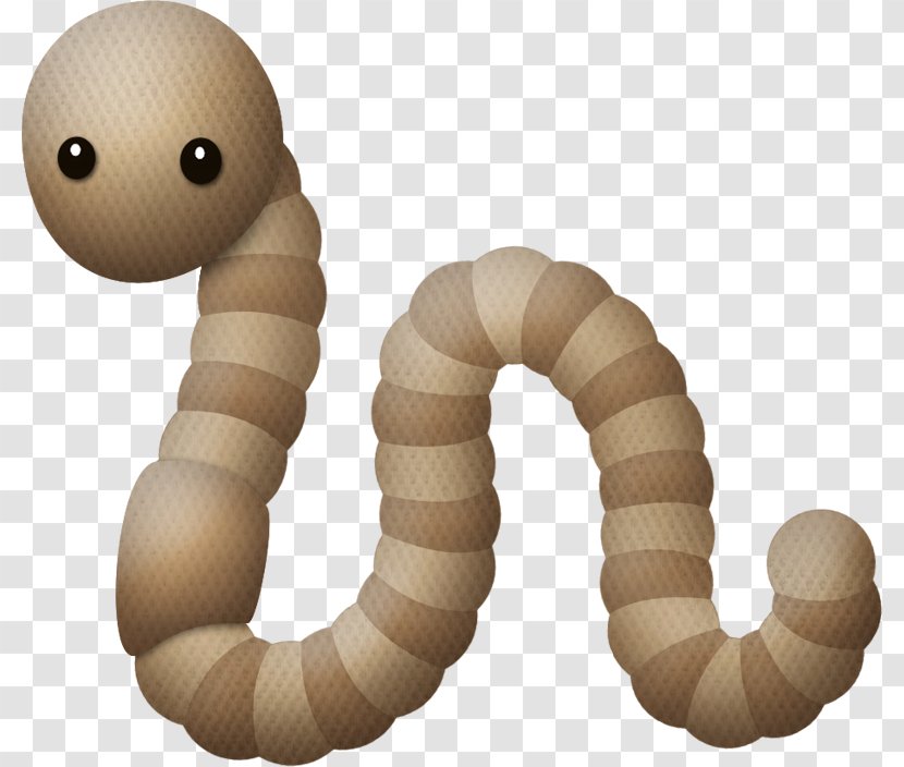 Caterpillar Cartoon - Zophobas Morio Earthworm Transparent PNG