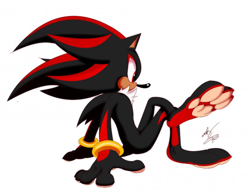 Sonic The Hedgehog Shadow Tails Shoe - Sega Transparent PNG