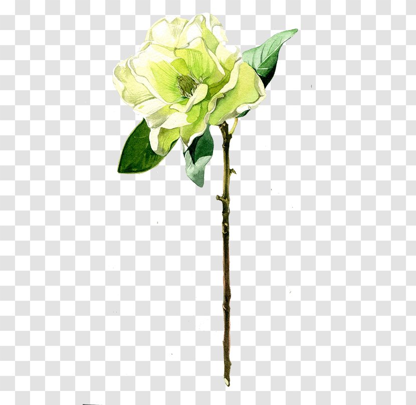 Floral Design Flower Nosegay Petal Illustration - Leaf - Green Flowers Transparent PNG