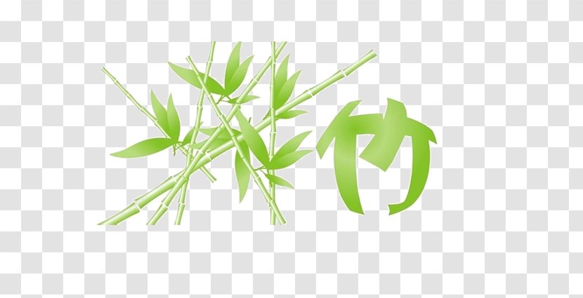 Bamboo Bamboe Photography - Herb - Free Pull Element Image Transparent PNG