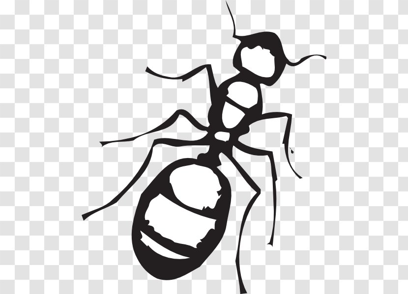 Ant Black And White Clip Art - Cliparts Transparent PNG