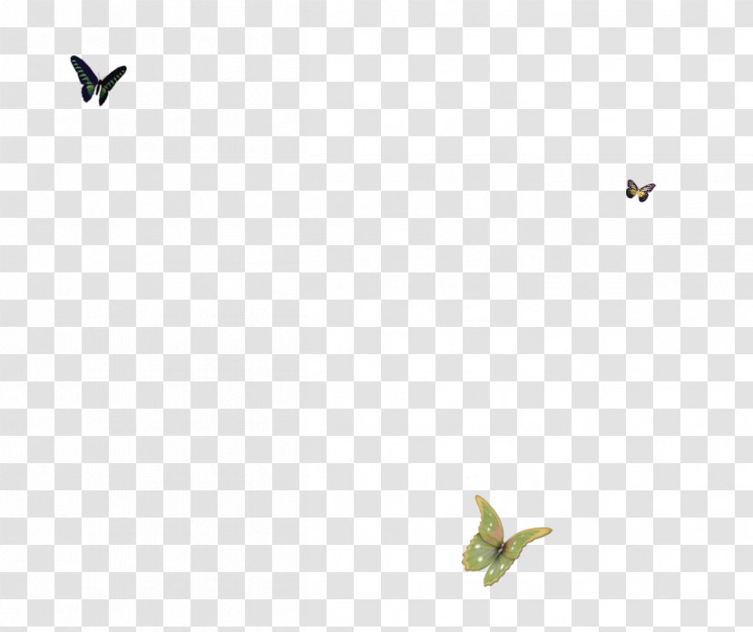 Bird Green Angle Pattern - Butterfly Petals Floating Bubble Simple And Elegant Transparent PNG