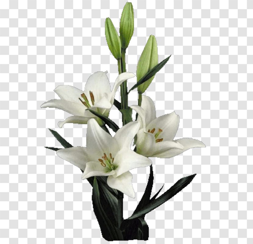 Lilium Cut Flowers Artificial Flower Floral Design - Plantas Transparent PNG