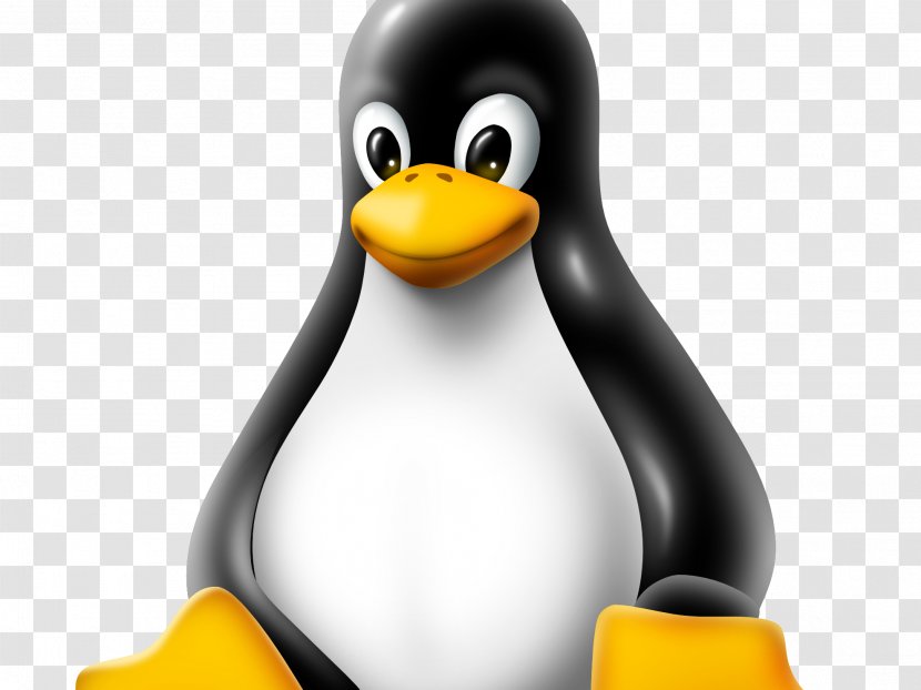 Linux Kernel Security Hacker - Operating Systems Transparent PNG