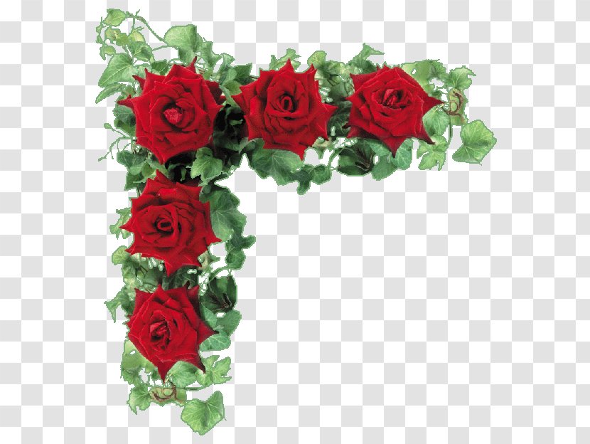Garden Roses Floribunda Clip Art - Flowering Plant - Rose Transparent PNG