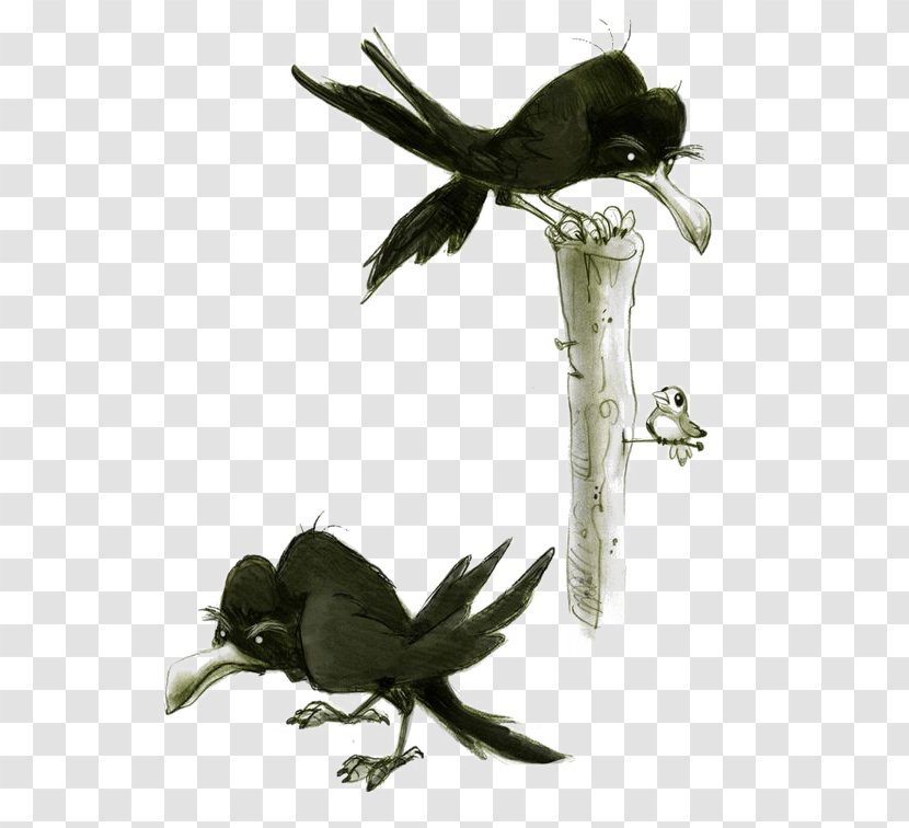 Crows Drawing Model Sheet - Concept Art - Crow Transparent PNG