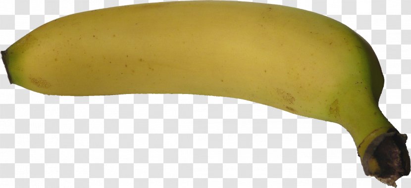 Banana - Fruit - Food Transparent PNG