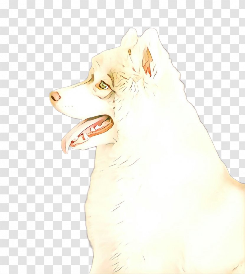 Dog Paw - Nose - Rare Breed White Shepherd Transparent PNG
