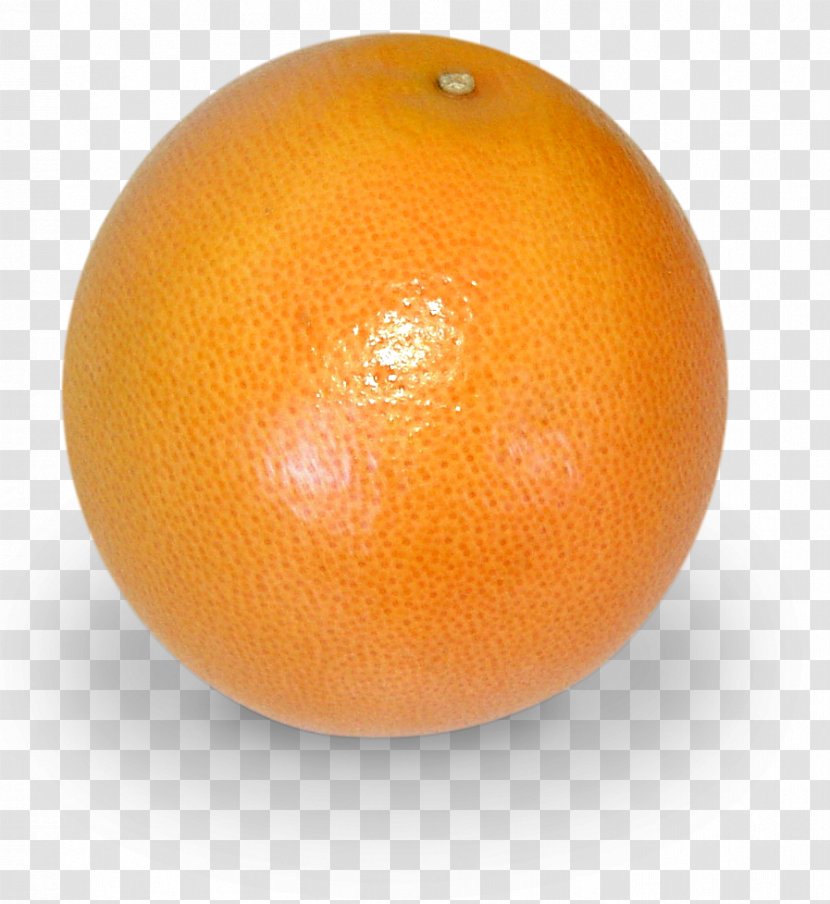 Clementine Grapefruit Mandarin Orange Tangerine Tangelo Transparent PNG