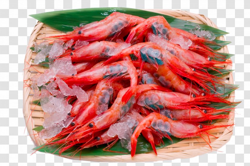 Caridea Shrimp Sashimi Food - Decapoda - Sieve Red Transparent PNG