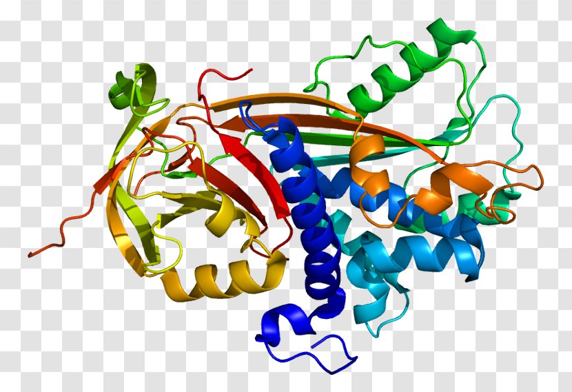 P300-CBP Coactivator Family PEDF CREB-binding Protein EP300 - Watercolor - Melanosome Transparent PNG