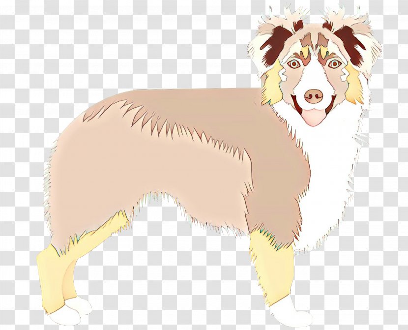 Border Collie - Rough Transparent PNG