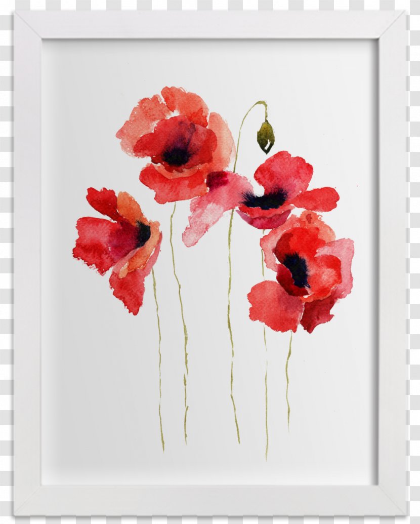 Common Poppy Watercolor Painting Flower - Picture Frame - Animals Transparent PNG
