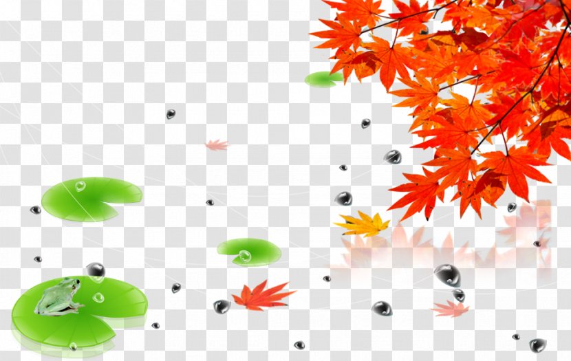 Autumn Poster - Maple Leaf Transparent PNG