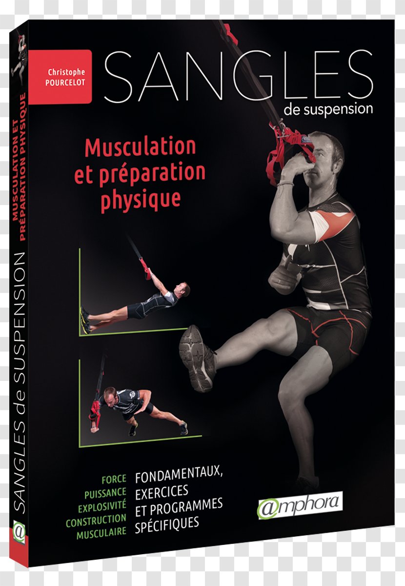 Sangles De Suspension Weight Training Préparation Physique Bodyweight Exercise Sports - Interval - Book Transparent PNG