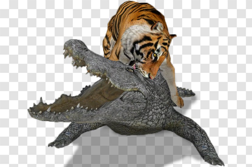 Nile Crocodile Bengal Tiger Lion Zoo Tycoon 2 Transparent PNG