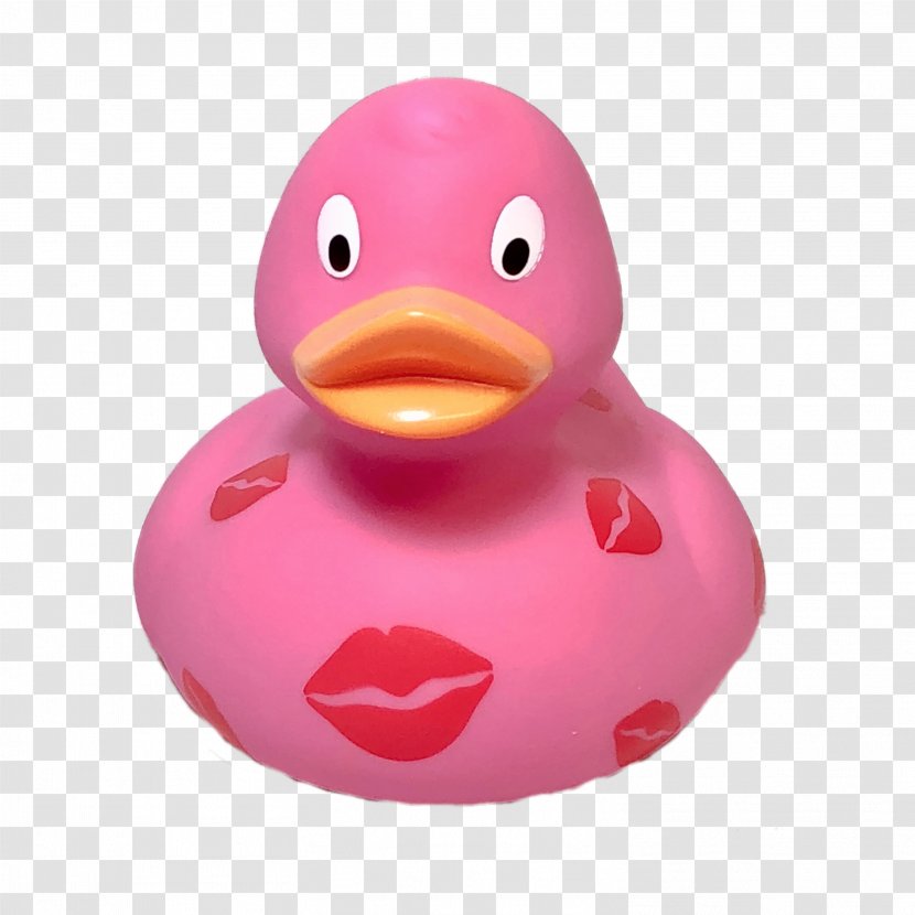 Duck Pink M - Bird - Rubber Transparent PNG