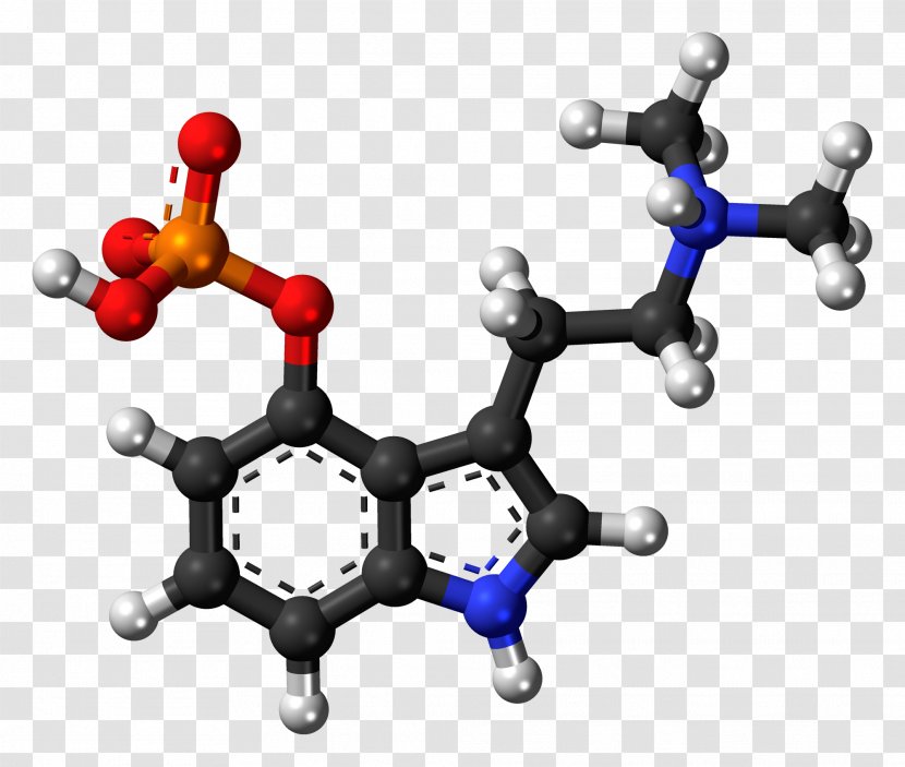 Serotonin 5-HT Receptor Dopamine Neurotransmitter - Agonist Transparent PNG