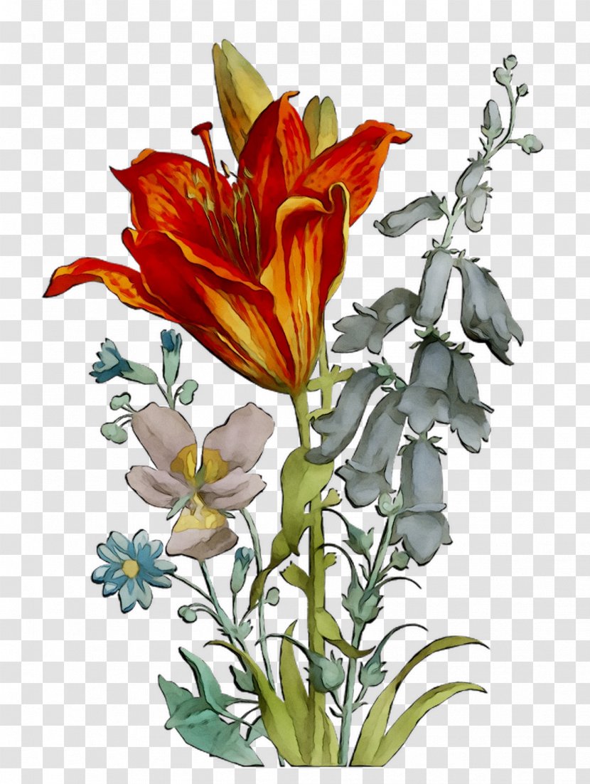 Floral Design Cut Flowers Flower Bouquet Alstroemeriaceae - Flowering Plant Transparent PNG