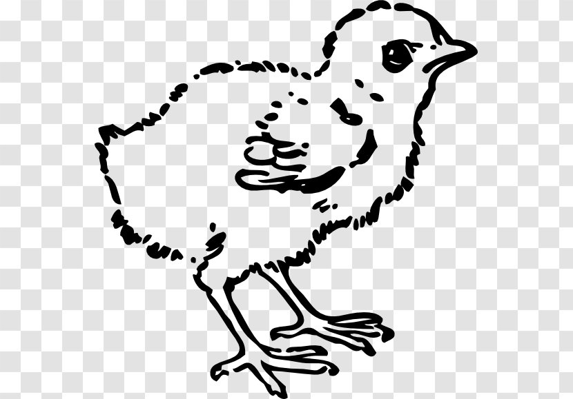 Chicken Kifaranga Clip Art - Baby Chick Tattoo Transparent PNG