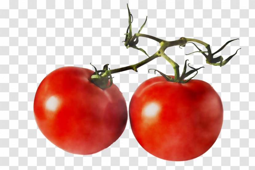 Tomato Stock Photography Food Vegetable - Red - Cherry Tomatoes Transparent PNG