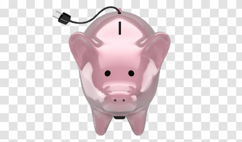 Piggy Bank Snout - Pig Transparent PNG