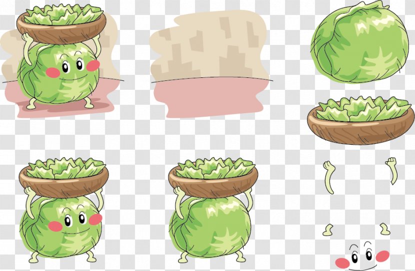 Hot Pot Vegetable Cabbage Illustration - Food - Lifts Expression Vector Transparent PNG