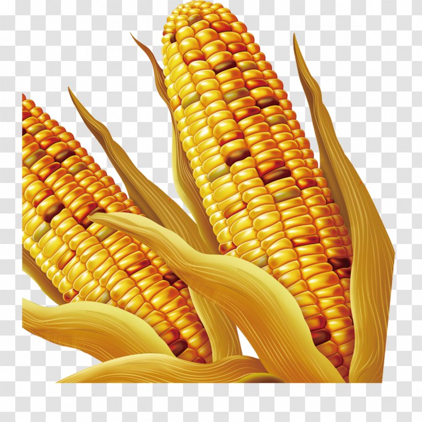 Maize - Side Dish - Golden Corn Transparent PNG