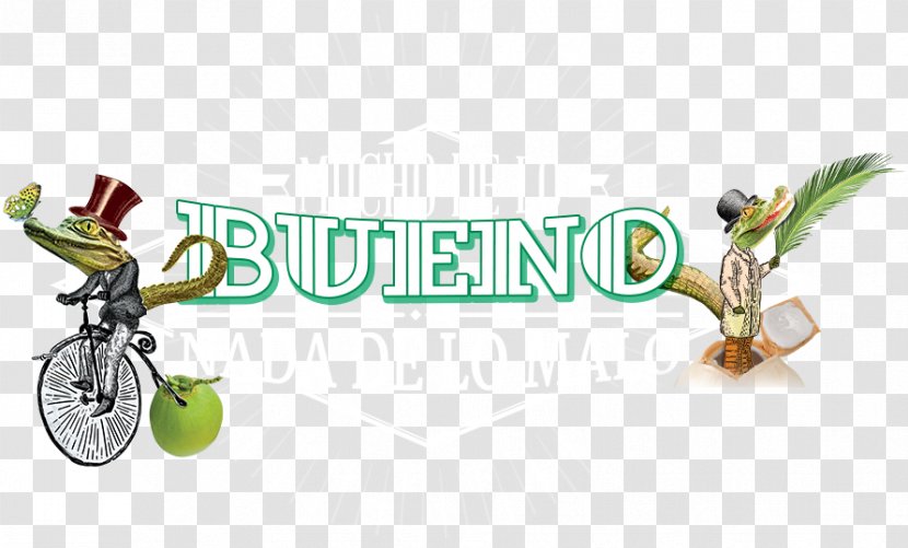 Lo Malo Coconut Water Brand Logo Spanish Language - Fred The Frog Transparent PNG