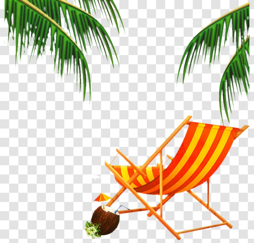 Summer Palm Tree - Plant - Sunlounger Tropics Transparent PNG