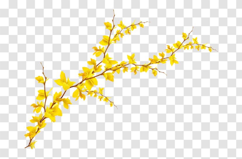 Clip Art Leaf Borders And Frames Image - Flower - Twig Transparent PNG