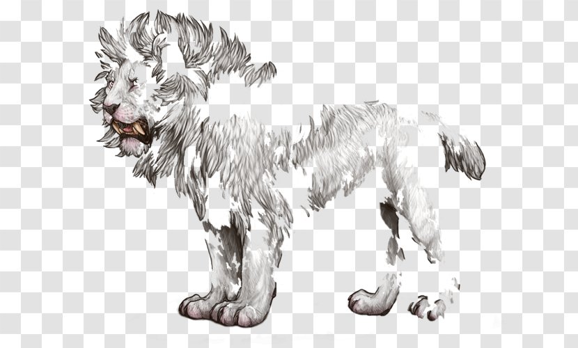 Dog Breed Lion Cat Sketch - Animal Transparent PNG