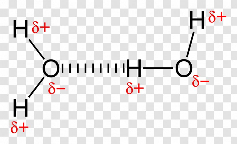 Hydrogen Bond Chemical Intermolecular Force Covalent Molecule - Atom - Bounding Transparent PNG