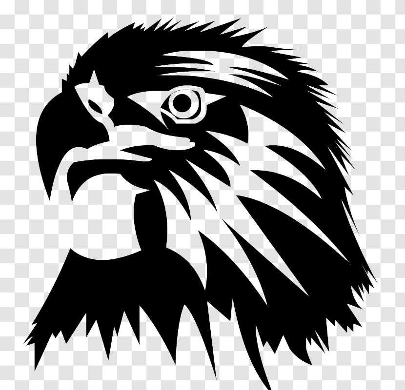 Eagle Clip Art - Bald - Head Image Transparent PNG