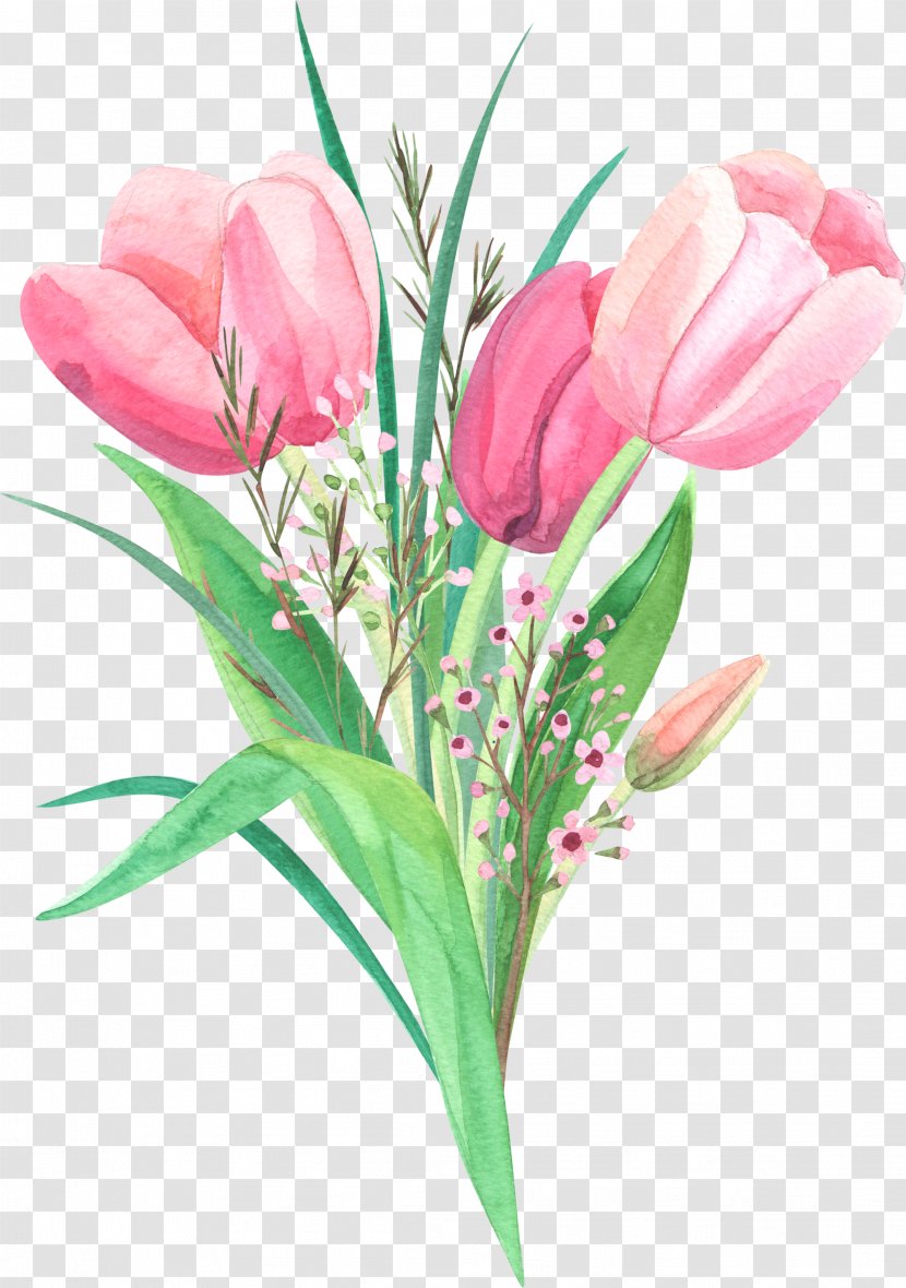 Tulips Flower - Cut Flowers - A Bunch Of Transparent PNG