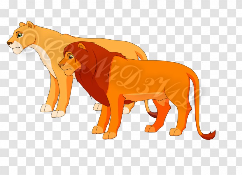 Lion Cat Wildlife Terrestrial Animal Puma - Real Lions Transparent PNG