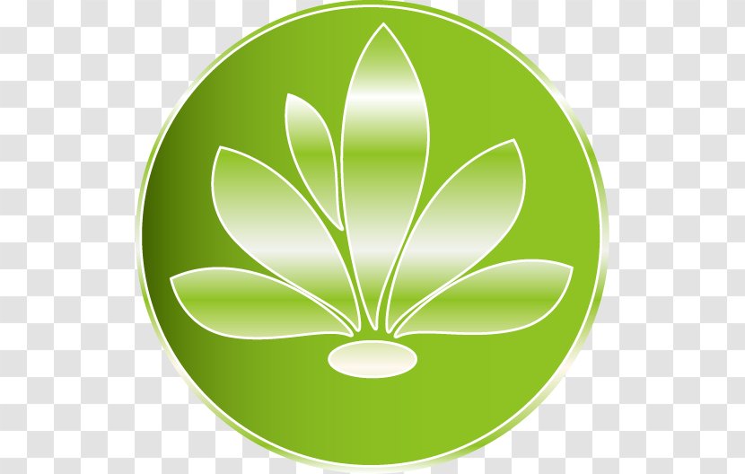 Health - Leaf - Green Transparent PNG