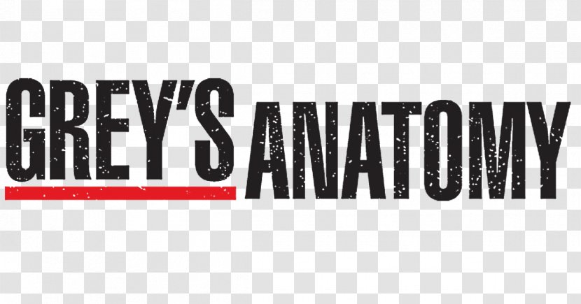 Grey's Anatomy - Text - Season 14 Television Show Personal Jesus AnatomySeason 8 Medical DramaGrey Transparent PNG