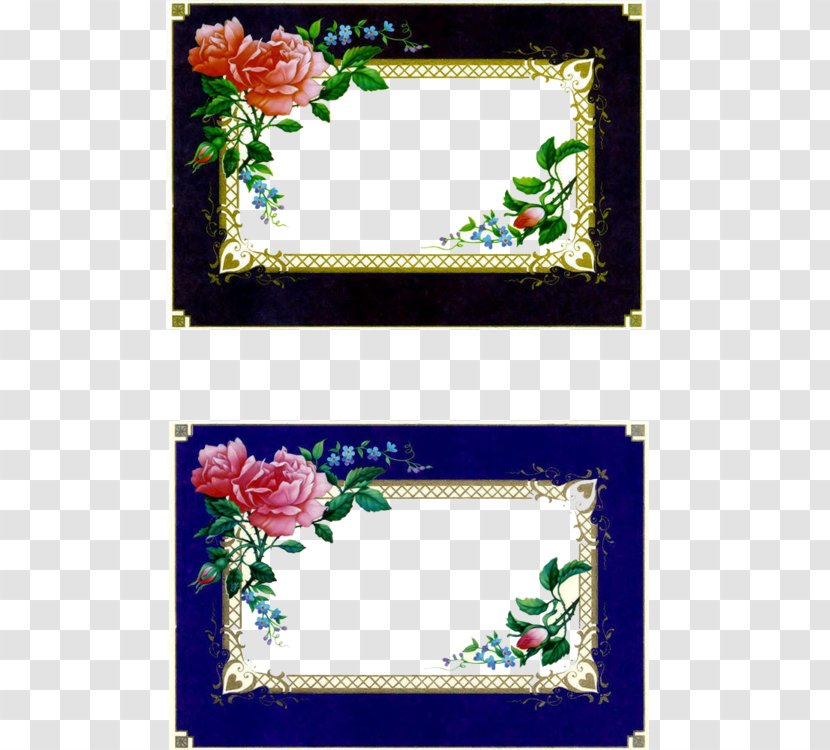 Scrapbooking Picture Frames Photography - Text - Rose Frame Transparent PNG