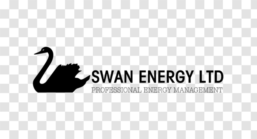Cygnini Swan Energy Limited Logo Technology - Brand Transparent PNG