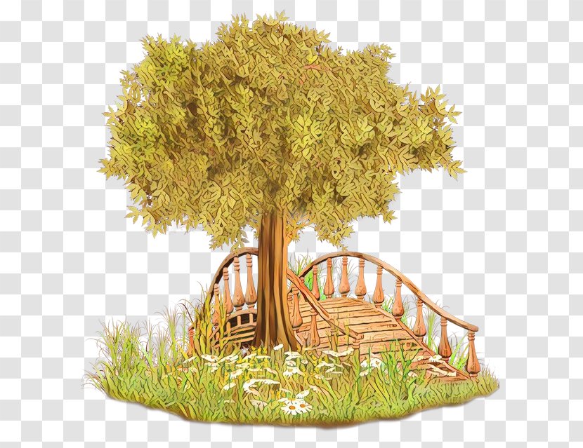 Family Tree Background - Woody Plant - Flower Furniture Transparent PNG