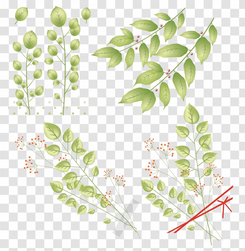 Leaf Plant Stem Clip Art - Twig Transparent PNG