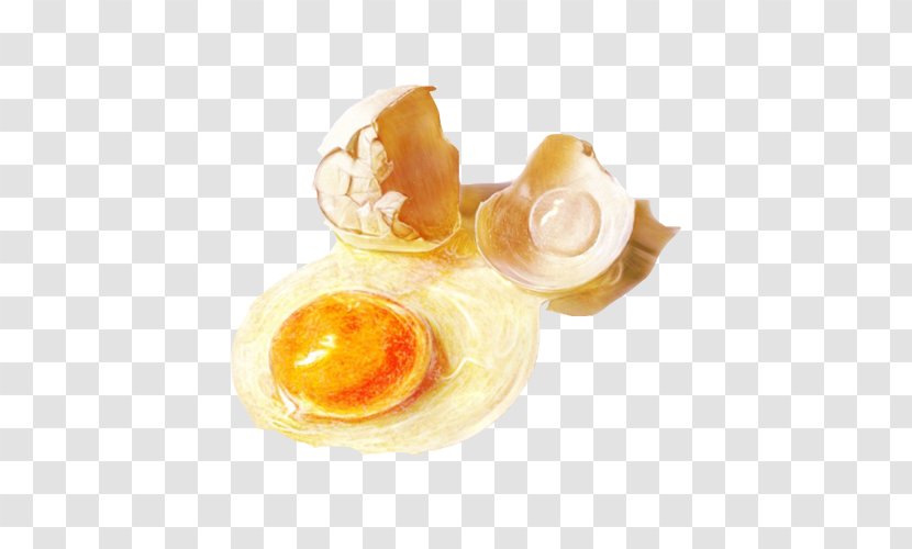 Eggshell Yolk Frying - Painting - Broken Eggs Hand Material Picture Transparent PNG