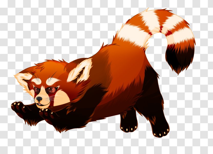 Red Panda Giant T-shirt Clip Art - Frame Transparent PNG