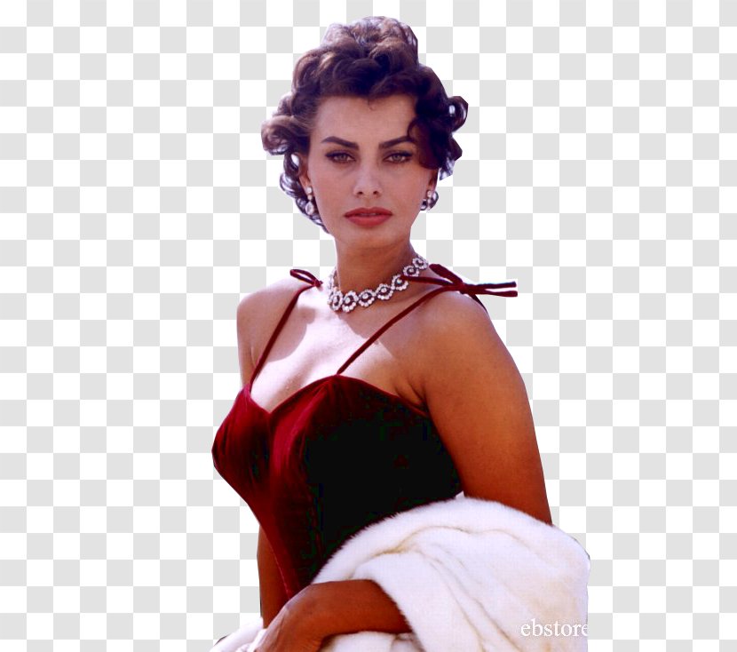 Sophia Loren Actor France Autograph - Silhouette Transparent PNG