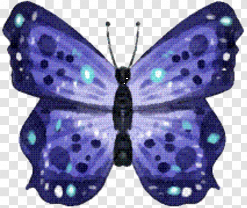 Brush-footed Butterflies Gossamer-winged Butterflies Moth Purple Symmetry Transparent PNG
