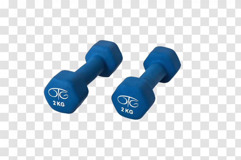 Physical Exercise Fitness Therapy Weight Loss Health - Abdominal Obesity - Blue Dumbbell Transparent PNG