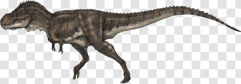 Tyrannosaurus Carcharodontosaurus Allosaurus Giganotosaurus Spinosaurus - Theropods - Rex Transparent PNG