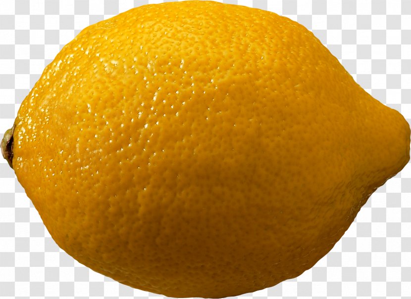 Lemon Fruit Clip Art - Valencia Orange Transparent PNG