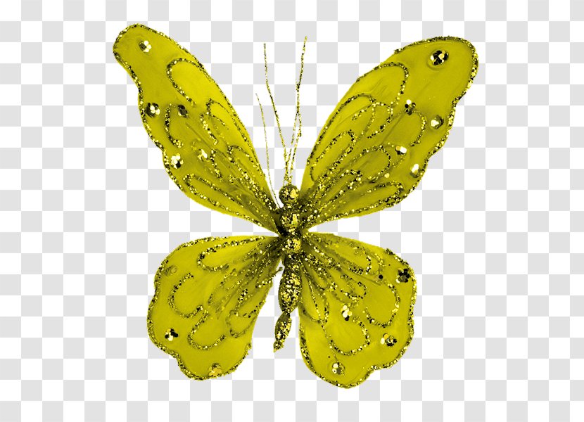 Clouded Yellows Brush-footed Butterflies Moth Pieridae Butterfly - Wing Transparent PNG